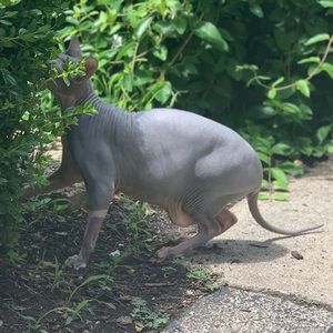 Meet your Posher, Christine